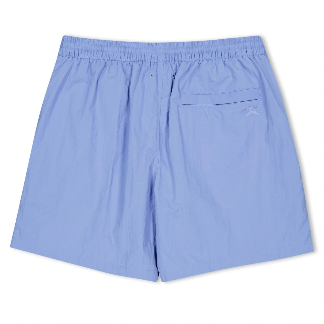 Burberry Check Stripe Swim Shorts Sky